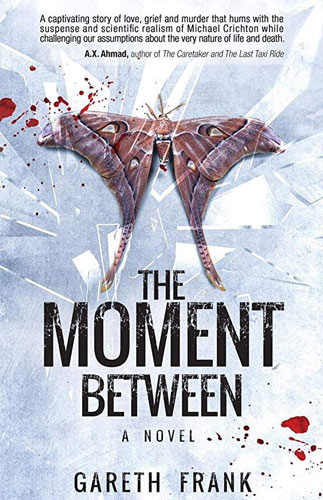 The Moment Between - Gareth Frank